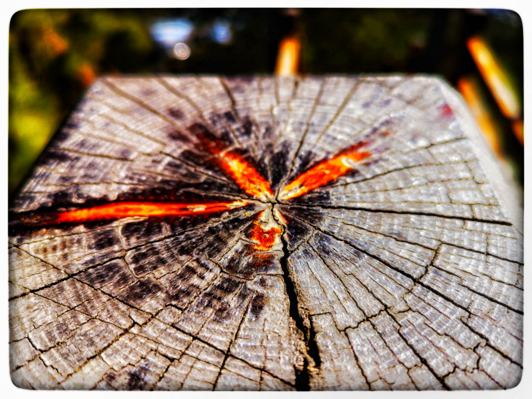 开云体育在线-关于即时盘口球员突破自我，表现堪称完美的信息