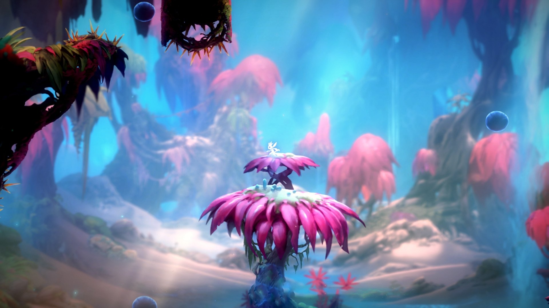 世界杯磁场，从维尼修斯的舞步，到基多高原的雪