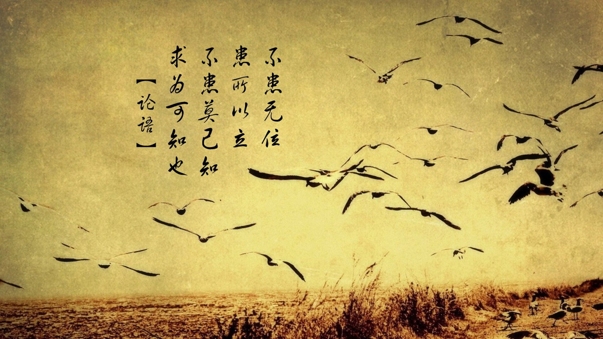 开云体育平台APP-颠覆预期的暗涌，南非如何用非典型战术正面击溃多特蒙德？