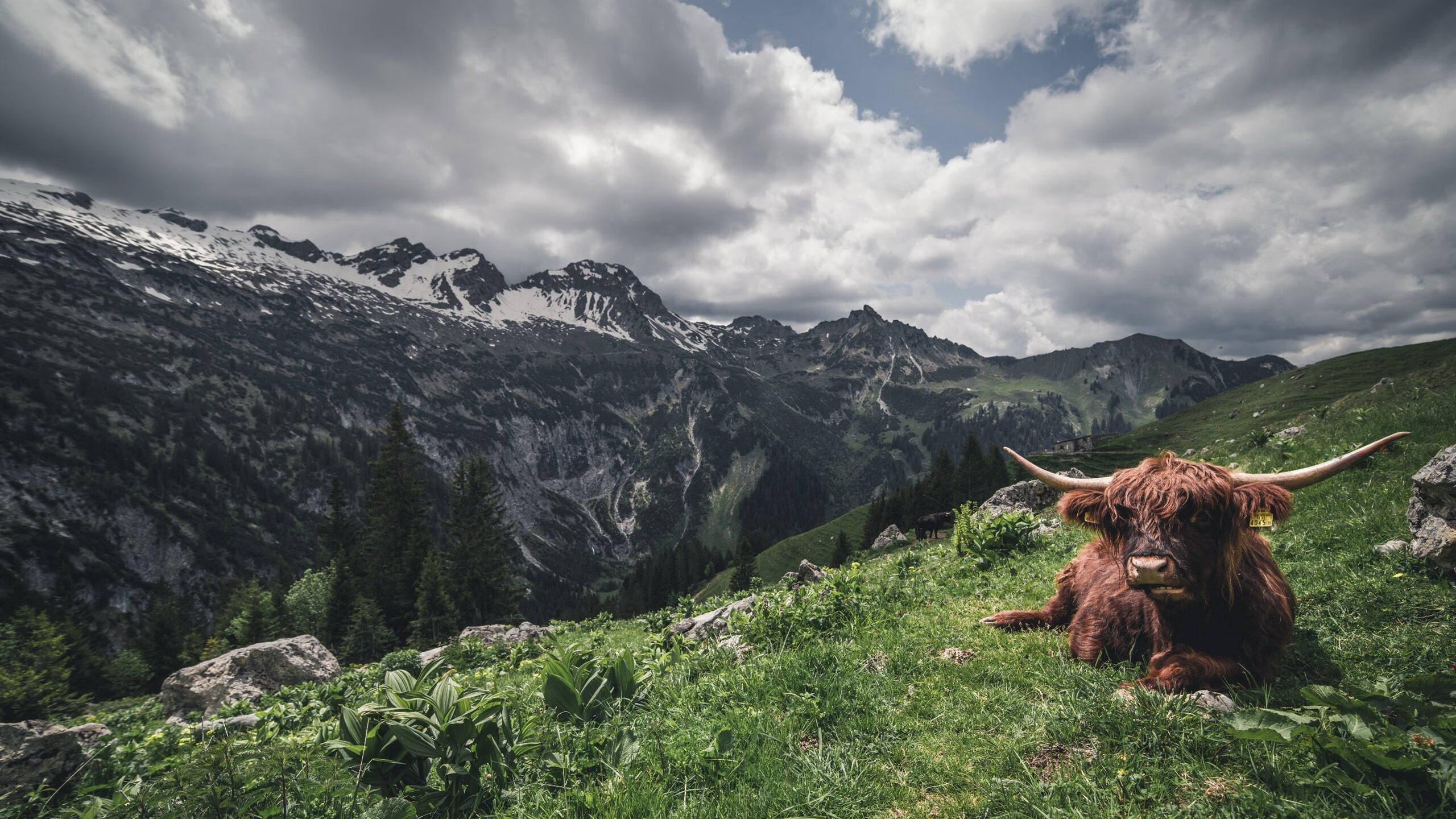 当沙漠风暴席卷菲尼克斯—文班亚马降维打击，新疆队战术铁幕遮蔽太阳光芒