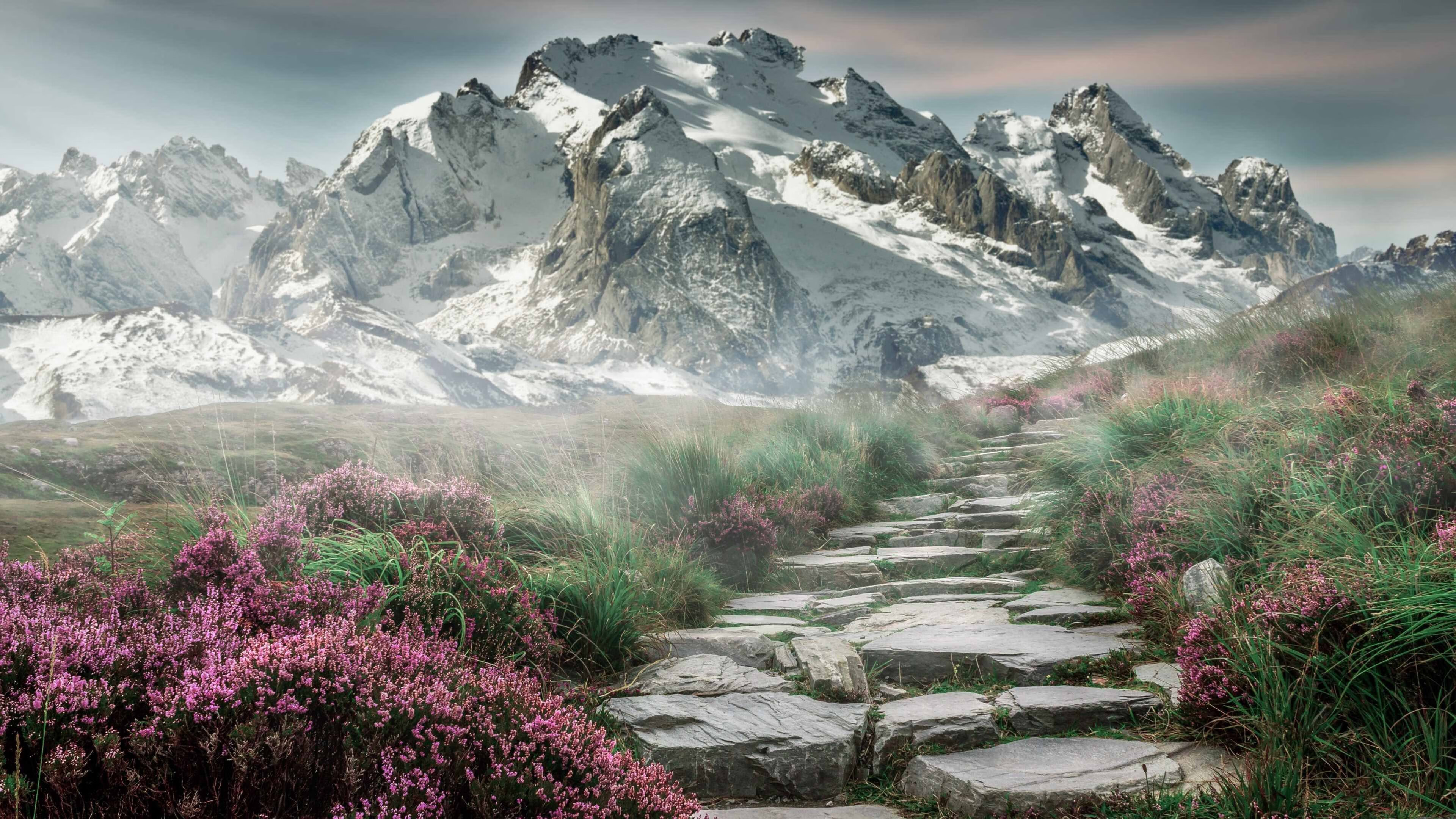 一节定江山!爱尔兰队单节狂轰20分差击溃马德里竞技