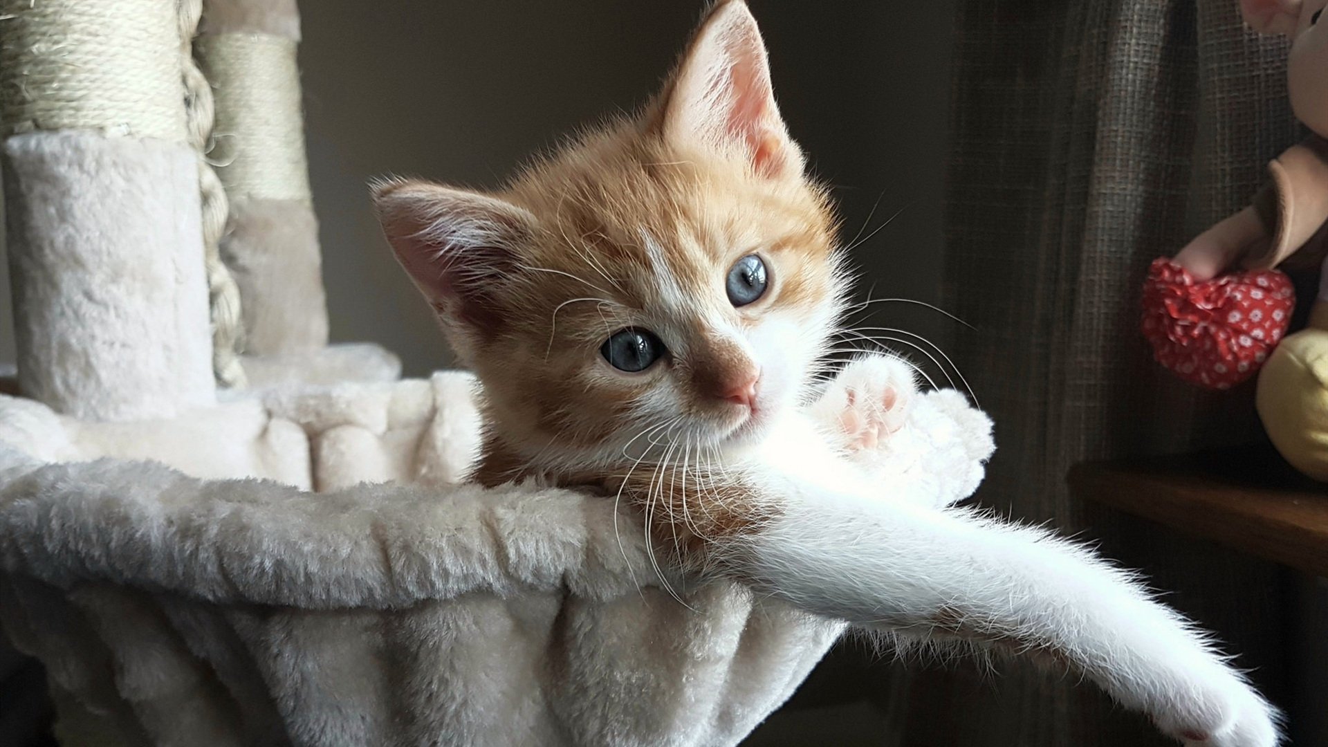 极速弯道与战术长廊,F1街道赛与勇士终结马刺背后的竞技哲学