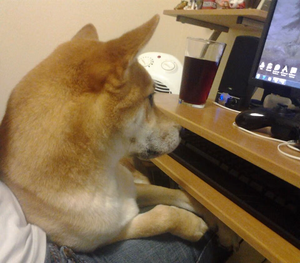 技术统计表上，他的得分栏并不醒目，篮板与助攻也只是中规中矩。唯有一项数据旁，或许该有个无形的星标，对位核心球员，最后五分钟，零次运动战得分，两次被迫失误