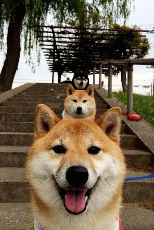 开云体育APP下载-封喉时刻，尤文绝杀多特蒙德，帕尔默成为改写历史的永恒符号