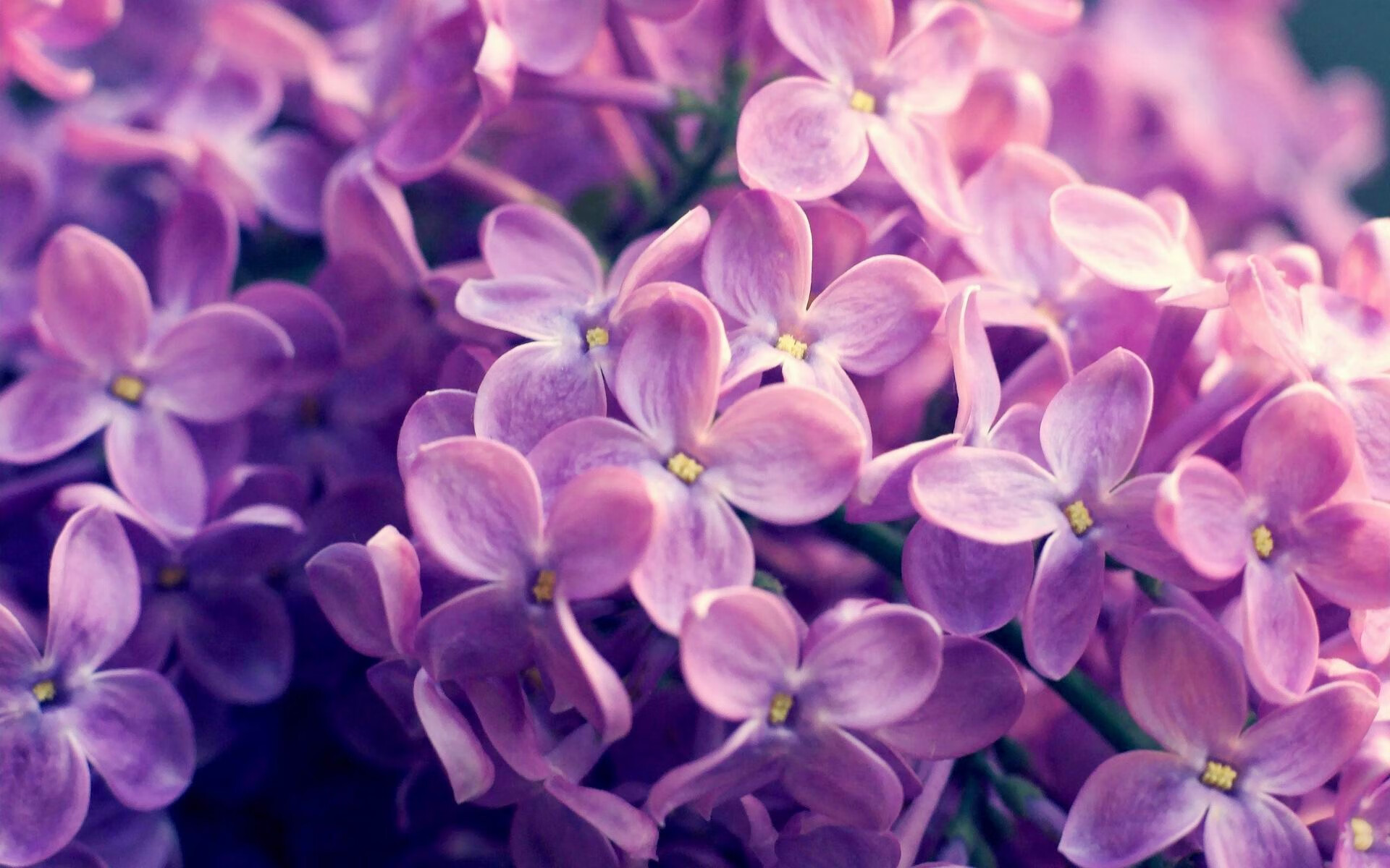 当美式狂飙遇上东方铁壁，一场时空交错的季后赛焦点战