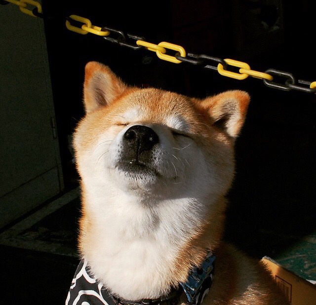 澳大利亚踏平厄瓜多尔，迪巴拉惊艳四座—一场足球友谊赛的传奇之夜