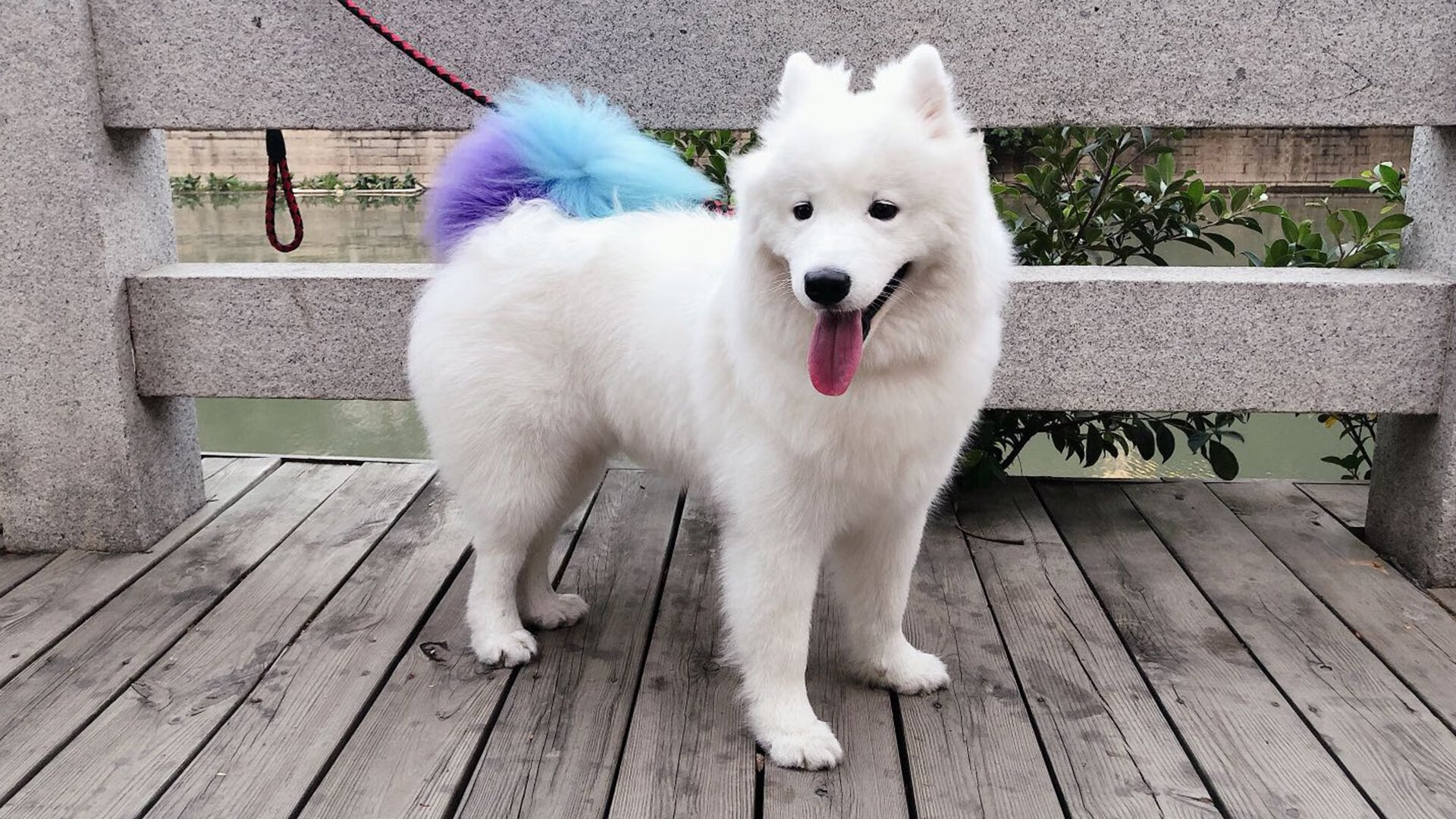 火种传承,沪上雨夜的红色冲锋