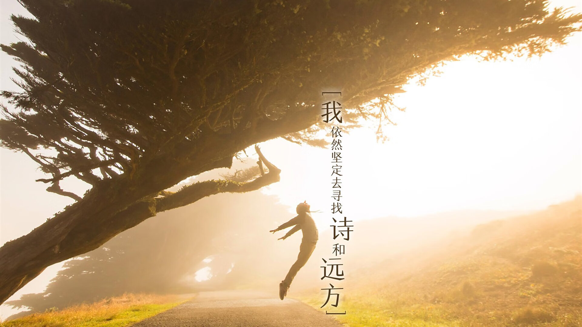 误读的传奇，当帕尔默在南美起舞—阿根廷如何击败西班牙并揭开2026世界杯的新篇章