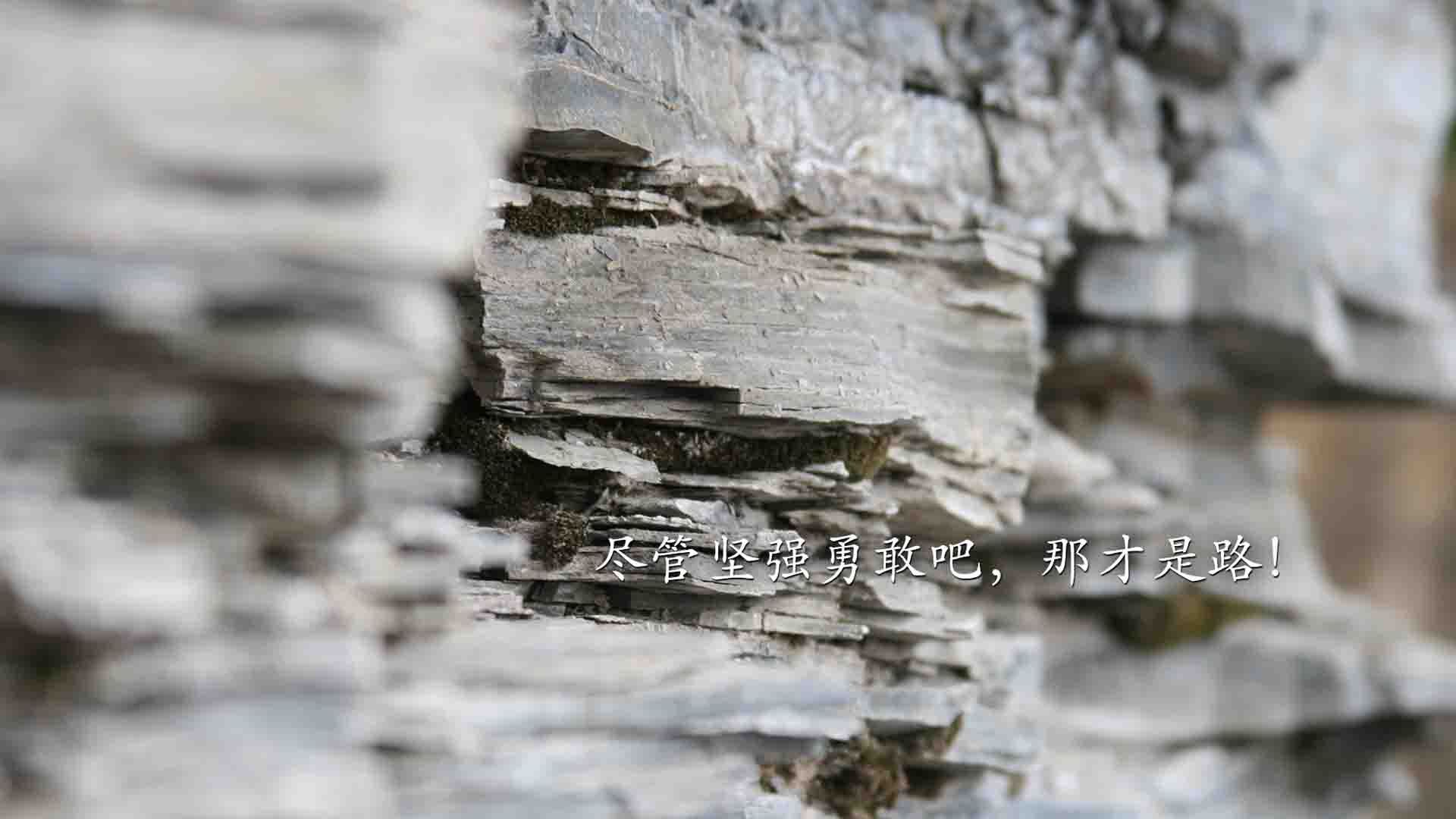 新秩序降临，黄黑锋芒刺穿红魔，奥斯梅恩如何在英超争冠中接管比赛