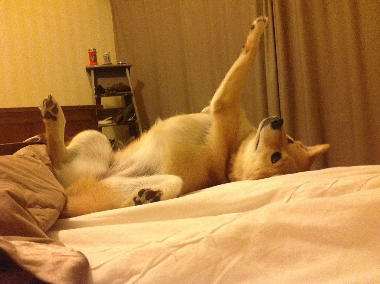 开云sport-黄昏见证真正的游吟诗人，英格拉姆一剑封喉，尼克斯终结快船