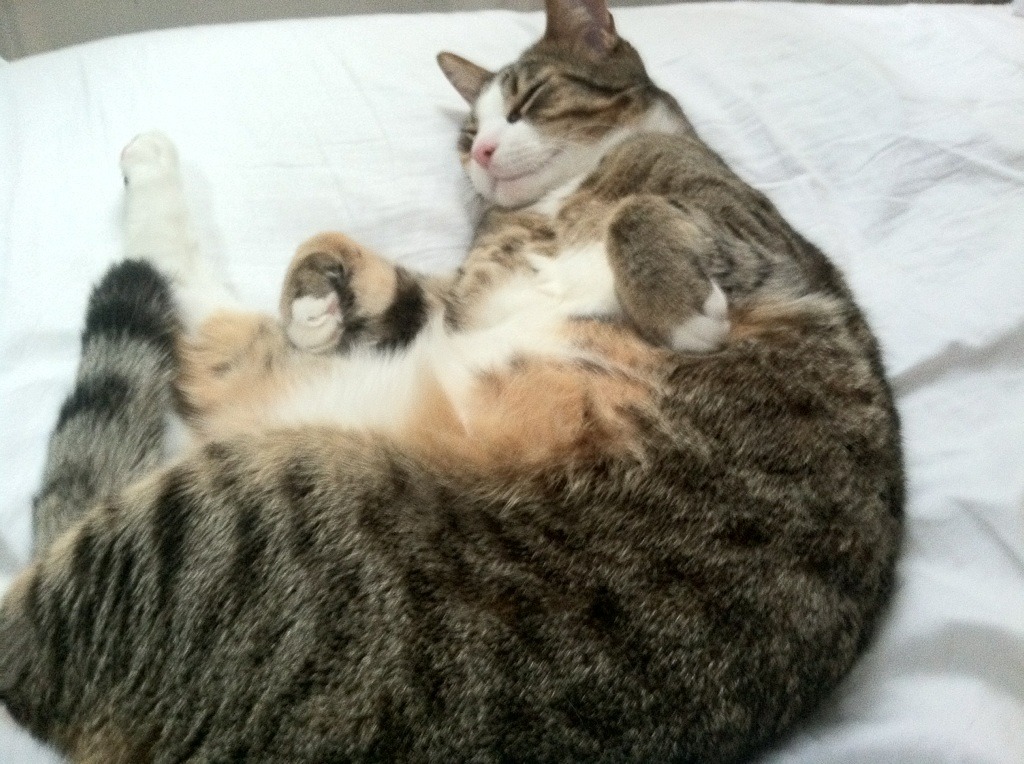 15分钟改写剧本，库里与马克西的爆发时刻