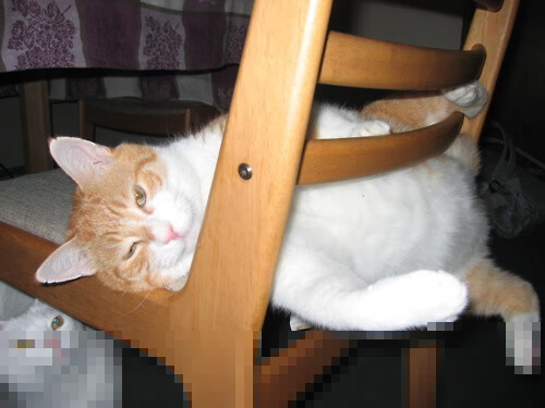 文班亚马的极速接管，火箭火力在F1街道赛压制热火