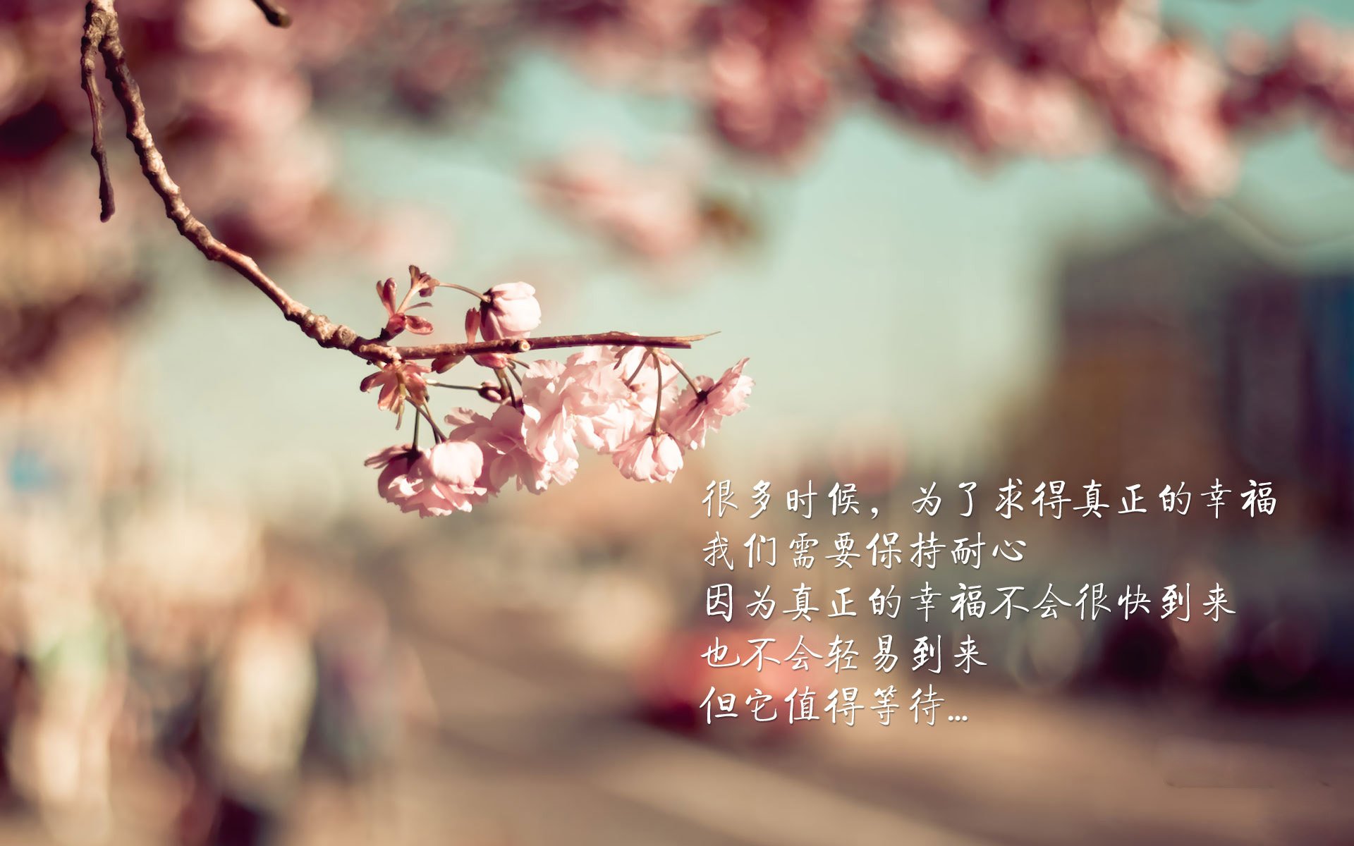 开云体育app-横跨亚平宁与英伦的战术交响，若日尼奥的掌控艺术与威尔士的不朽逆转