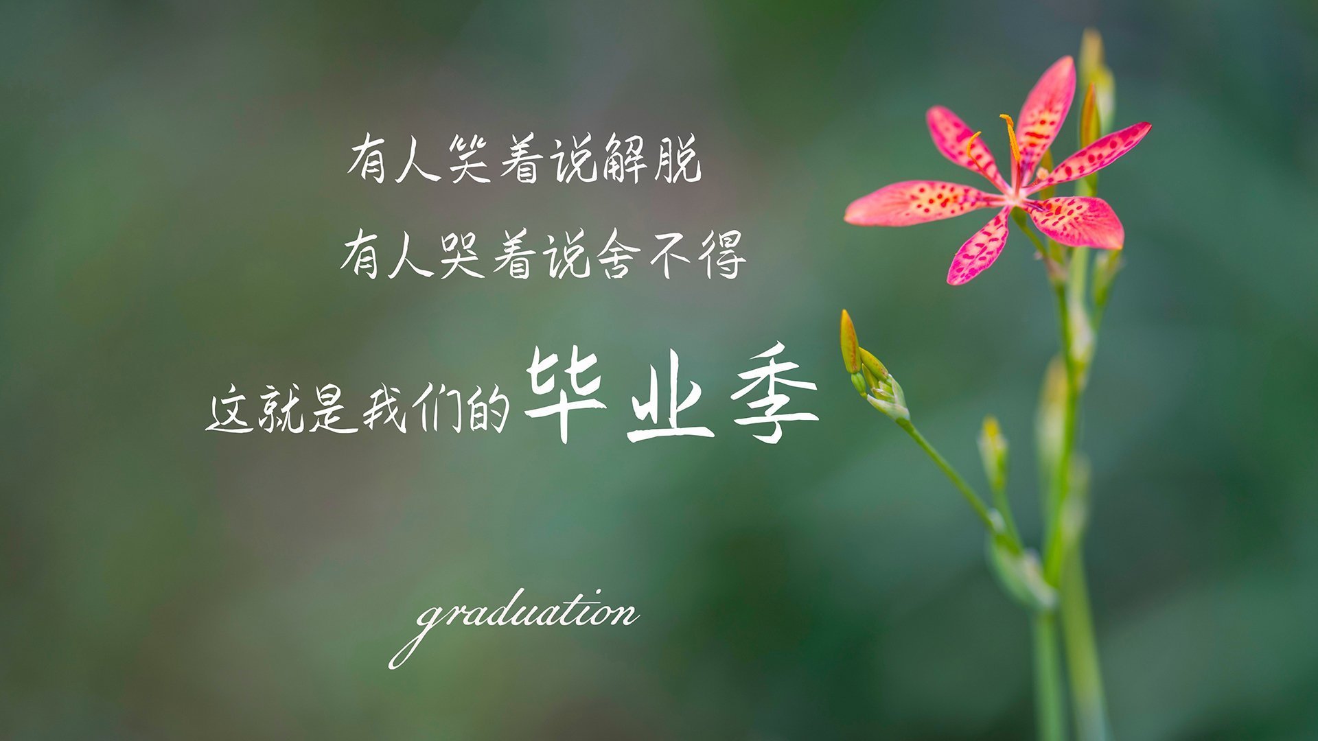 开云体育官网-现代角斗场，从萨拉米斯到安联，唯一性胜利如何由一人定义