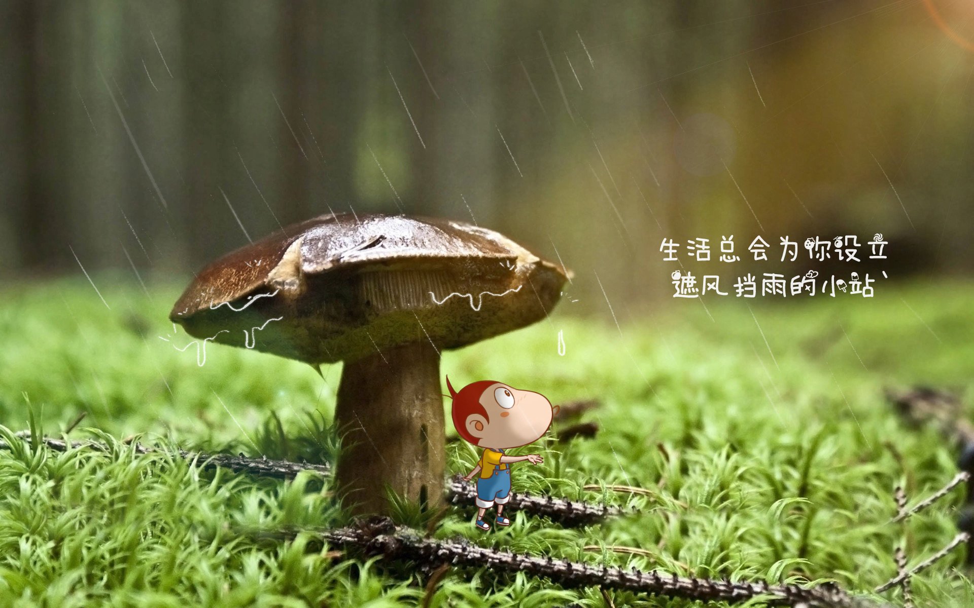 开云体育app-全息绿茵的东方奇迹，加克波数据风暴，中国AI终场绝杀尤文
