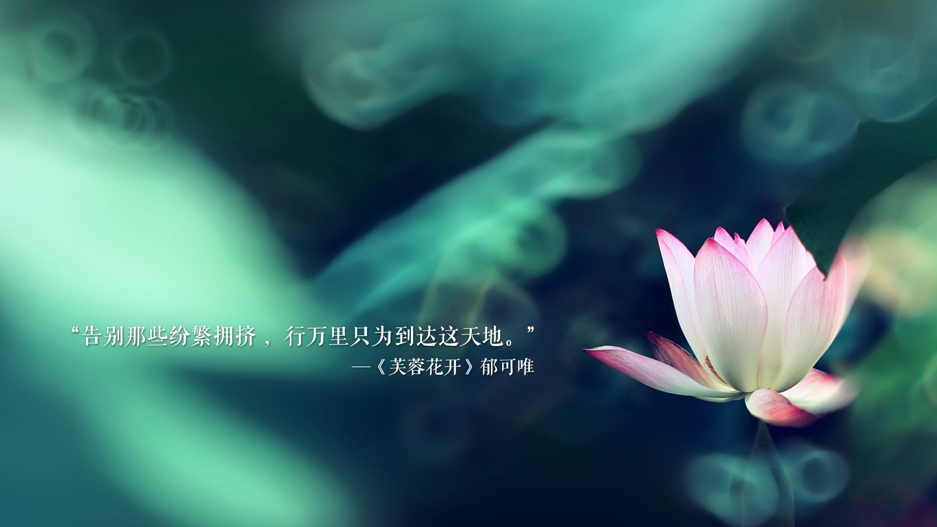 以下是我的创作