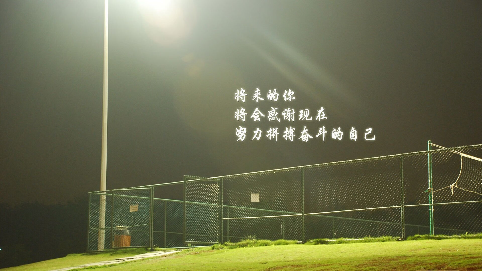 以下是为您构思的标题和撰写的文章